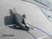 2012 Ford F-250 XL с VIN 1FT7W2BT9CEB52060, выставлен на аукционе IAAI как лот 43308628 с пробегом 212 107 миль миль и . История ставок и продаж доступна на DreamBid. Изображение 11.