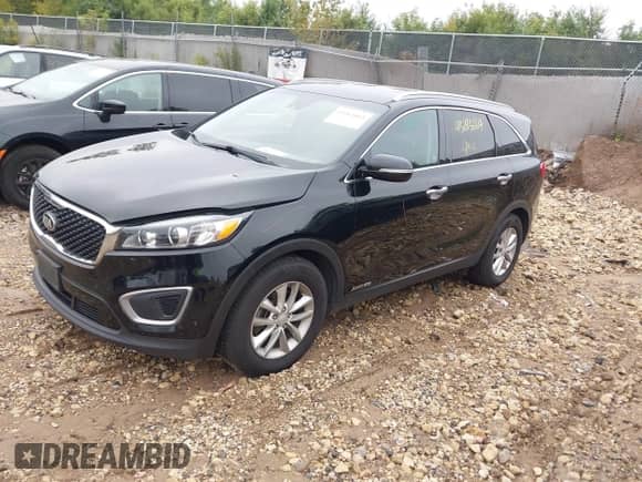 2017 Kia Sorento LX with VIN 5XYPGDA51HG204226, listed as a IAAI auction lot 43283664 with 113,911 mi miles and . Bid and sale history available at DreamBid. Image 2.