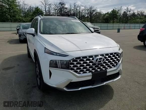 2022 Hyundai Santa Fe Limited with VIN KM8S5DA12NU018620, listed as a Copart auction lot 80389225 with 28,867 mi miles and Salvage title. Bid and sale history available at DreamBid. Image 15.