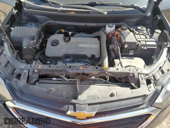 2021 Chevrolet Equinox LS with VIN 2GNAXHEV8M6137470, listed as a Copart auction lot 70231005 with 65,683 mi miles and Salvage title. Bid and sale history available at DreamBid. Image 12.