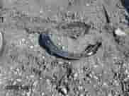 2011 MINI Hardtop S with VIN WMWSV3C50BTY15977, listed as a Copart auction lot 52802295 with 89,085 mi miles and Salvage title. Bid and sale history available at DreamBid. Image 12.