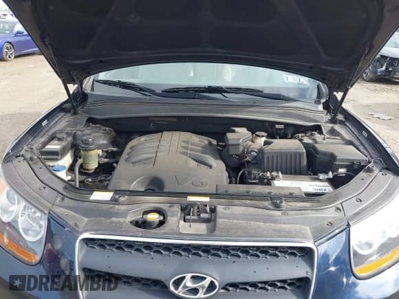 2009 Hyundai Santa Fe SE with VIN 5NMSH73EX9H298099, listed as a IAAI auction lot 43497095 with 187,012 mi miles and . Bid and sale history available at DreamBid. Image 10.