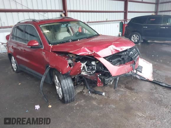 2010 Volkswagen Tiguan SE with VIN WVGBV7AX5AW003923, listed as a IAAI auction lot 43533077 with 176,932 mi miles and . Bid and sale history available at DreamBid. Image 12.