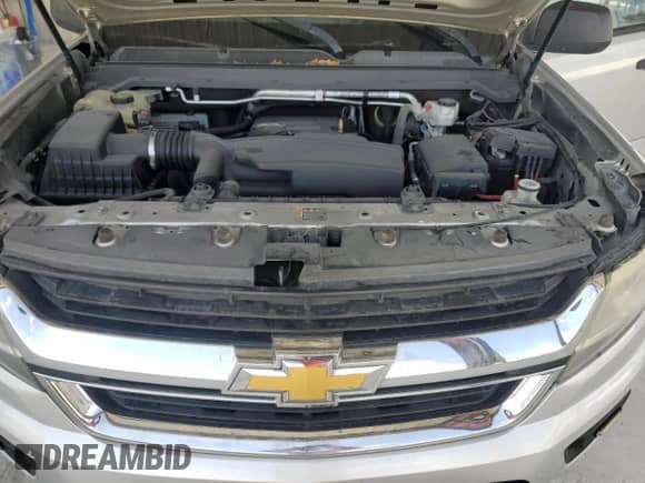 2019 Chevrolet Colorado 2WD Work Truck with VIN 1GCGSBEA8K1337602, listed as a Copart auction lot 63666465 with 123,861 mi miles and Salvage title. Bid and sale history available at DreamBid. Image 11.