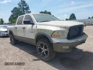 2009 Dodge 1500 SLT with VIN 1D3HB13P19S750446, listed as a IAAI auction lot 42418275 with 251,093 mi miles and . Bid and sale history available at DreamBid. Image 1.