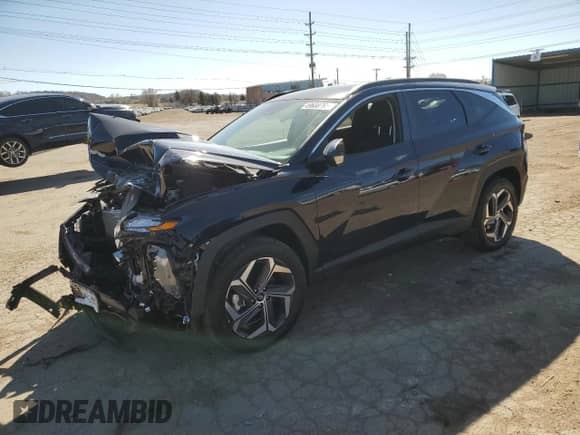 2024 Hyundai Tucson SEL with VIN KM8JBDD21RU186750, listed as a Copart auction lot 52020535 with Not provided miles and Salvage title. Bid and sale history available at DreamBid. Image 1.