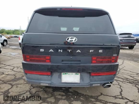 2024 Hyundai Santa Fe SE с VIN 5NMP1DGL1RH046470, выставлен на аукционе Copart как лот 57800225 с пробегом 13 974 миль миль и Чистый • Clean title. История ставок и продаж доступна на DreamBid. Изображение 6.
