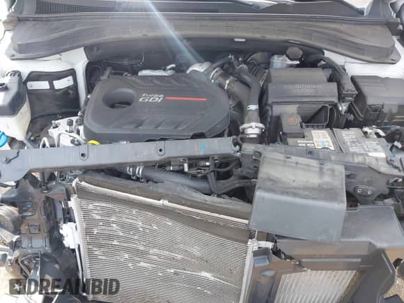 2019 Hyundai Santa Fe Ultimate с VIN 5NMS5CAA5KH124805, выставлен на аукционе IAAI как лот 42449542 с пробегом 62 858 миль миль и . История ставок и продаж доступна на DreamBid. Изображение 10.