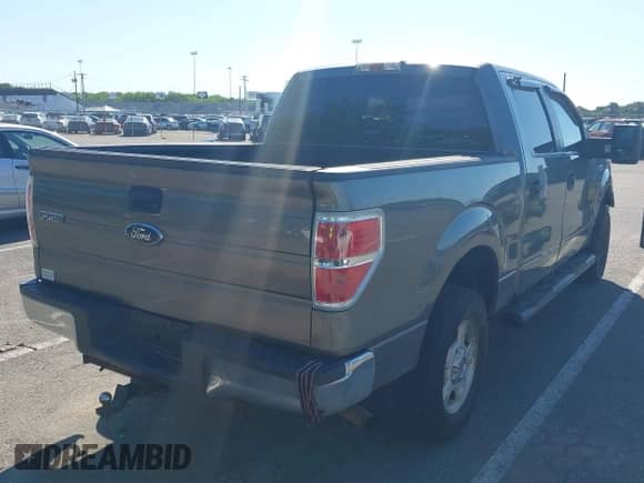 2009 Ford F-150 XL with VIN 1FTRW14819FB18628, listed as a IAAI auction lot 42303828 with 193,672 mi miles and . Bid and sale history available at DreamBid. Image 4.