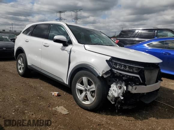 2022 Kia Sorento LX with VIN 5XYRGDLC4NG097947, listed as a Copart auction lot 55227485 with 45,280 mi miles and Salvage title. Bid and sale history available at DreamBid. Image 4.
