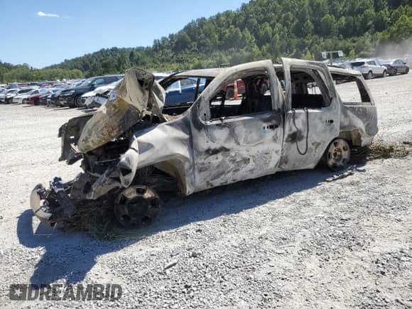 2013 Chevrolet Tahoe LS with VIN 1GNSKAE01DR171172, listed as a Copart auction lot 70429755 with Not provided miles and Salvage title. Bid and sale history available at DreamBid. Image 1.