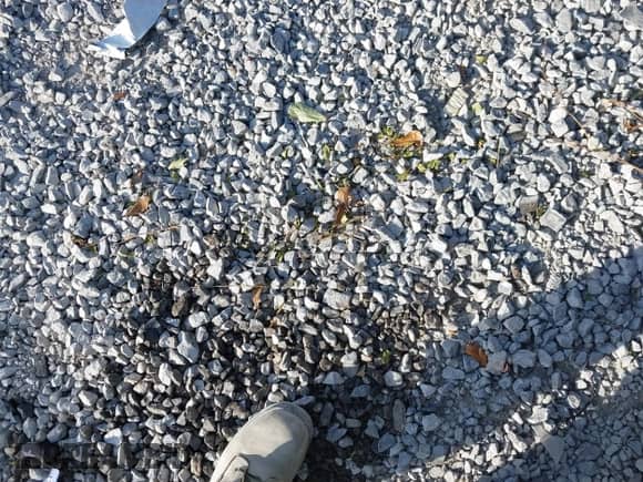 2017 Ford F-150 XL with VIN 1FTEW1EF4HFC71580, listed as a IAAI auction lot 43352168 with 243,317 mi miles and . Bid and sale history available at DreamBid. Image 12.