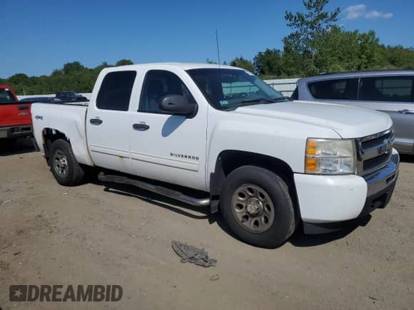 2010 Chevrolet Silverado 1500 LS with VIN 3GCRKREA4AG134661, listed as a Copart auction lot 68125095 with 186,219 mi miles and Clean title. Bid and sale history available at DreamBid. Image 4.