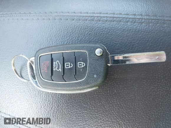 2017 Hyundai Santa Fe 2.4L z VIN 5NMZUDLBXHH027377, wystawiony jako IAAI lot #43341936 z przebiegiem 94 975 mil mil oraz . Historia ofert i sprzedaży dostępna na DreamBid. Obrazek 11.