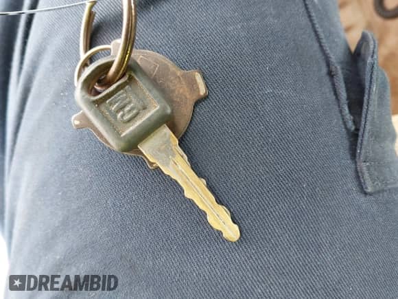 1996 Chevrolet Silverado 1500 with VIN 1GCEK19R8TE251962, listed as a IAAI auction lot 43391675 with 329,983 mi miles and . Bid and sale history available at DreamBid. Image 11.