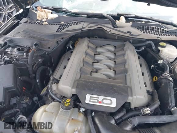 2017 Ford Mustang GT z VIN 1FA6P8CF7H5208224, wystawiony jako IAAI lot #43100029 z przebiegiem 87 720 mil mil oraz . Historia ofert i sprzedaży dostępna na DreamBid. Obrazek 10.