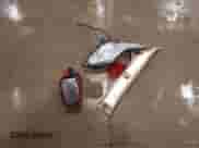 2015 Hyundai Sonata Limited z VIN KMHEC4A44FA120064, wystawiony jako IAAI lot #43340698 z przebiegiem Nie podano mil oraz . Historia ofert i sprzedaży dostępna na DreamBid. Obrazek 11.