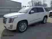 2018 Cadillac Escalade Platinum with VIN 1GYS4DKJ5JR308637, listed as a Copart auction lot 48912645 with 34,637 mi miles and Salvage title. Bid and sale history available at DreamBid. Image 1.