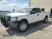 2009 Ford F-150 XL with VIN 1FTPX14V49FA17058, listed as a Copart auction lot 67582185 with 184,984 mi miles and Salvage title. Bid and sale history available at DreamBid. Image 1.