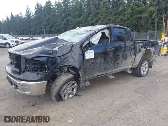 2018 Ram 1500 Big Horn z VIN 1C6RR7LT7JS117518, wystawiony jako IAAI lot #43186483 z przebiegiem 109 488 mil mil oraz . Historia ofert i sprzedaży dostępna na DreamBid. Obrazek 17.