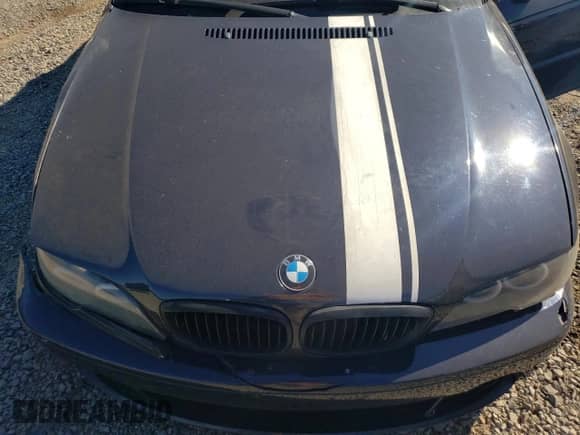 2004 BMW 3 Series 330Ci with VIN WBABW534X4PL45355, listed as a Copart auction lot 84639005 with 172,723 mi miles and Salvage title. Bid and sale history available at DreamBid. Image 11.