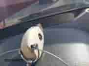 2009 Mercedes-Benz C 300 Sport с VIN WDDGF81X09F248403, выставлен на аукционе IAAI как лот 43544489 с пробегом 152 105 миль миль и . История ставок и продаж доступна на DreamBid. Изображение 11.