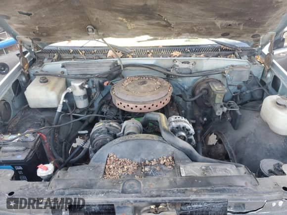 1991 GMC Sierra 1500 с VIN 1GTDK14K2ME501736, выставлен на аукционе Copart как лот 81644004 с пробегом Не указан миль и Чистый • Clean title. История ставок и продаж доступна на DreamBid. Изображение 11.
