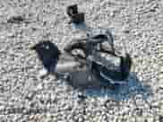 2014 Honda Accord LX с VIN 1HGCR2F34EA117597, выставлен на аукционе Copart как лот 81526765 с пробегом 62 395 миль миль и Списание • Salvage title. История ставок и продаж доступна на DreamBid. Изображение 12.