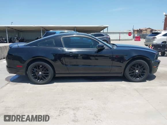 2014 Ford Mustang Premium с VIN 1ZVBP8AM9E5295367, выставлен на аукционе IAAI как лот 42876557 с пробегом 108 180 миль миль и . История ставок и продаж доступна на DreamBid. Изображение 13.