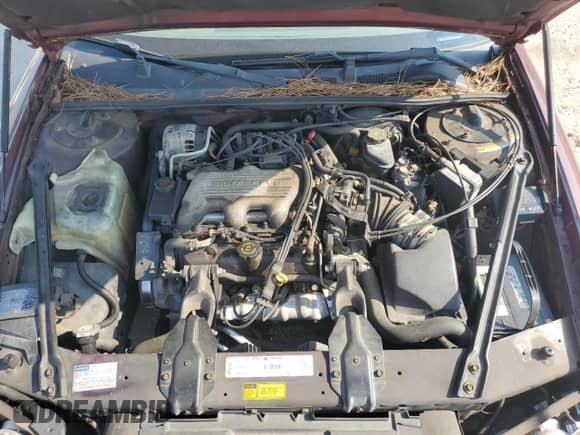 1998 Chevrolet Lumina LS с VIN 2G1WL52M3W9156975, выставлен на аукционе Copart как лот 81011145 с пробегом 116 138 миль миль и Списание • Salvage title. История ставок и продаж доступна на DreamBid. Изображение 11.