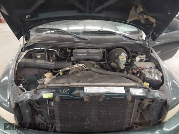 1999 Dodge 1500 z VIN 3B7HF13Z0XM516352, wystawiony jako IAAI lot #43344215 z przebiegiem 165 497 mil mil oraz . Historia ofert i sprzedaży dostępna na DreamBid. Obrazek 10.