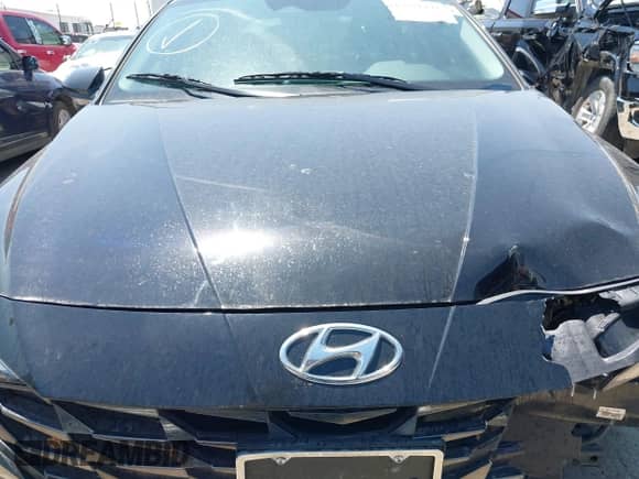 2023 Hyundai Elantra Limited with VIN KMHLP4AG1PU525126, listed as a IAAI auction lot 42981498 with 29,733 mi miles and . Bid and sale history available at DreamBid. Image 13.