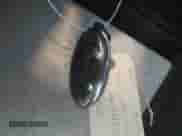 2025 Hyundai Tucson SE с VIN 5NMJA3DE7SH568290, выставлен на аукционе IAAI как лот 42884587 с пробегом 1 973 миль миль и . История ставок и продаж доступна на DreamBid. Изображение 11.