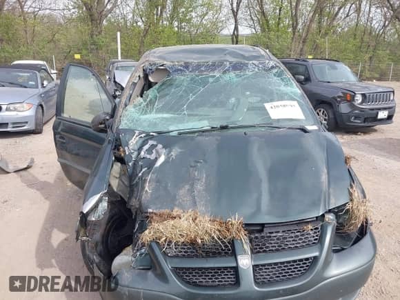 2001 Dodge Caravan SE с VIN 1B4GP25391B180753, выставлен на аукционе IAAI как лот 42058993 с пробегом 121 575 миль миль и . История ставок и продаж доступна на DreamBid. Изображение 12.