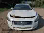 2014 Nissan Maxima S with VIN 1N4AA5AP4EC459375, listed as a Copart auction lot 80983355 with Not provided miles and Clean title. Bid and sale history available at DreamBid. Image 5.