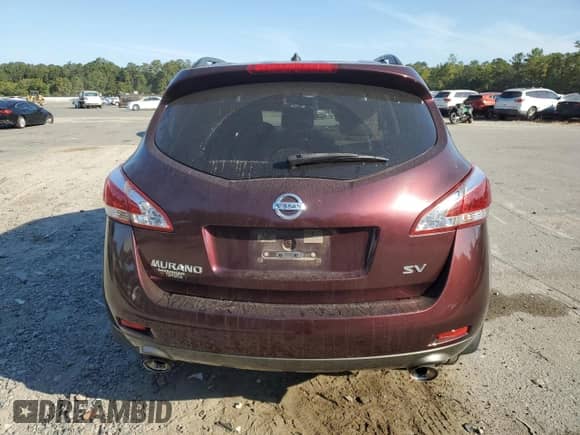 2013 Nissan Murano SV with VIN JN8AZ1MUXDW213039, listed as a Copart auction lot 82099295 with 120,179 mi miles and Salvage title. Bid and sale history available at DreamBid. Image 6.