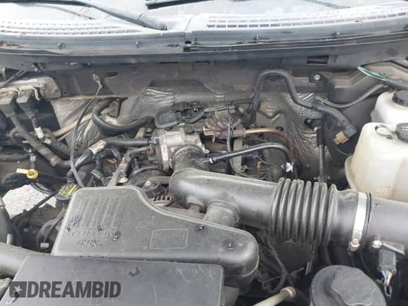 2010 Ford F-150 XL with VIN 1FTEX1EW7AFA75331, listed as a IAAI auction lot 42226258 with 203,234 mi miles and . Bid and sale history available at DreamBid. Image 10.