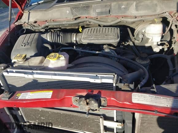 2008 Dodge 1500 ST with VIN 1D7HA18K18J206516, listed as a IAAI auction lot 43589284 with 195,589 mi miles and . Bid and sale history available at DreamBid. Image 10.