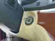 2007 Hyundai Santa Fe SE с VIN 5NMSH13E87H084190, выставлен на аукционе IAAI как лот 43334592 с пробегом 236 361 миль миль и . История ставок и продаж доступна на DreamBid. Изображение 11.