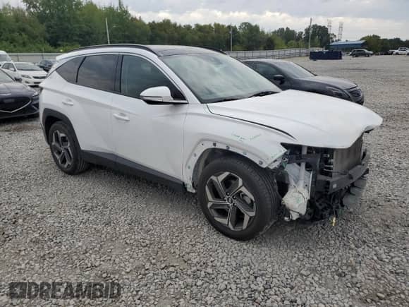 2024 Hyundai Tucson Limited with VIN 5NMJE3DE1RH348738, listed as a Copart auction lot 82078695 with 59,386 mi miles and Salvage title. Bid and sale history available at DreamBid. Image 4.