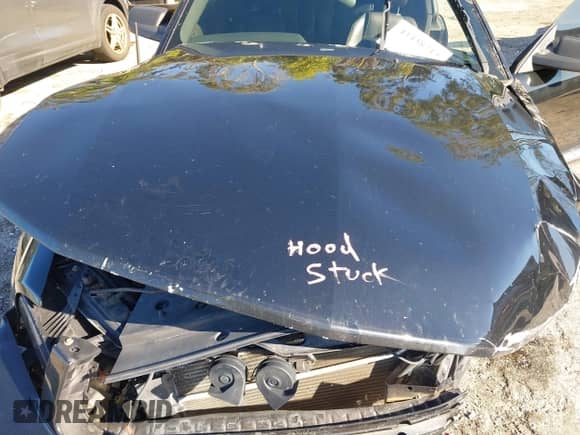 2006 Ford Mustang Standard with VIN 1ZVFT80N165210918, listed as a IAAI auction lot 43438713 with Not provided miles and . Bid and sale history available at DreamBid. Image 10.