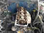 1994 Nissan Frontier with VIN 1N6SD11S4RC322264, listed as a IAAI auction lot 41325955 with 153,524 mi miles and . Bid and sale history available at DreamBid. Image 13.