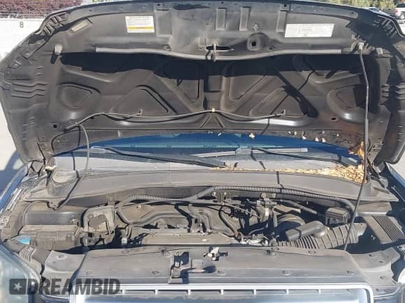 2006 Honda Pilot EX-L z VIN 5FNYF285X6B001714, wystawiony jako IAAI lot #43431275 z przebiegiem 196 451 mil mil oraz . Historia ofert i sprzedaży dostępna na DreamBid. Obrazek 10.