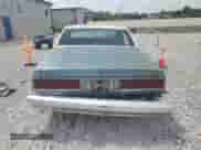 1989 Chevrolet Caprice с VIN 1G1BL51E0KR111677, выставлен на аукционе Copart как лот 66264385 с пробегом 21 920 миль миль и Списание • Salvage title. История ставок и продаж доступна на DreamBid. Изображение 6.