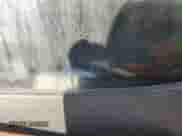 2002 Dodge Dakota с VIN 1B7GL12X92S578496, выставлен на аукционе Copart как лот 53506265 с пробегом Не указан миль и Списание • Salvage title. История ставок и продаж доступна на DreamBid. Изображение 12.