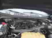 2016 Ford F-150 XLT z VIN 1FTFW1EG0GFA94330, wystawiony jako IAAI lot #43534166 z przebiegiem 207 269 mil mil oraz . Historia ofert i sprzedaży dostępna na DreamBid. Obrazek 10.