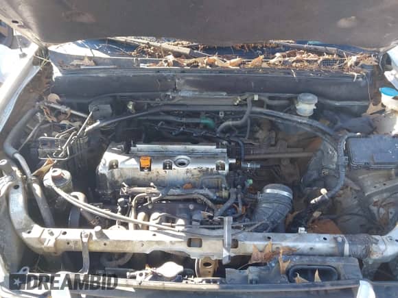 2002 Honda CR-V EX with VIN JHLRD78822C011066, listed as a IAAI auction lot 43408652 with 268,163 mi miles and . Bid and sale history available at DreamBid. Image 10.