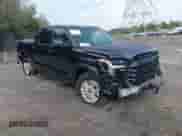 2025 Toyota Tundra SR with VIN 5TFLA5DB9SX319619, listed as a IAAI auction lot 43321211 with 1,800 mi miles and . Bid and sale history available at DreamBid. Image 1.