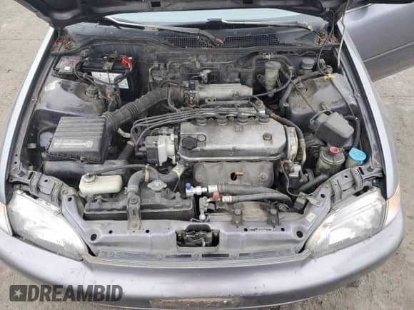 1994 Honda Civic with VIN JHMEG8557RS013722, listed as a Copart auction lot 43433395 with 147,021 mi miles and Salvage title. Bid and sale history available at DreamBid. Image 11.