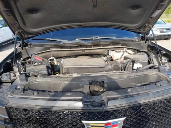 2023 Cadillac Escalade 4WD Sport with VIN 1GYS4EKL8PR484288, listed as a IAAI auction lot 43212839 with Not provided miles and . Bid and sale history available at DreamBid. Image 10.